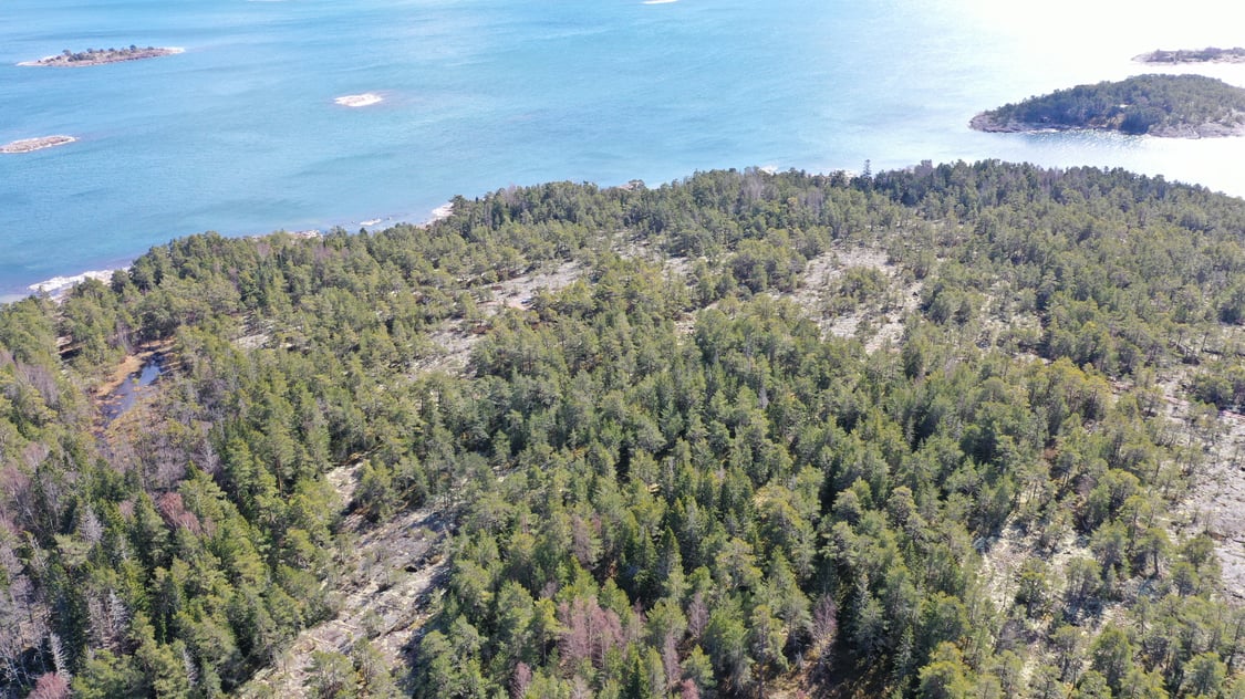 Strandområde med underbart läge och fin havsutsikt i Björnhuvud, Eckerö