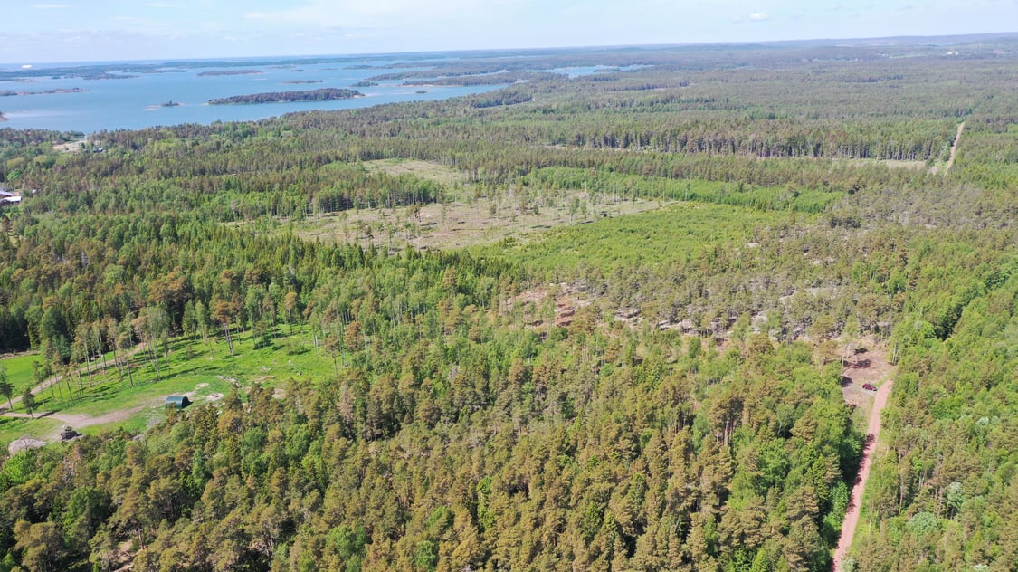 Tre skogsskiften i Vesteränga, Lemland.