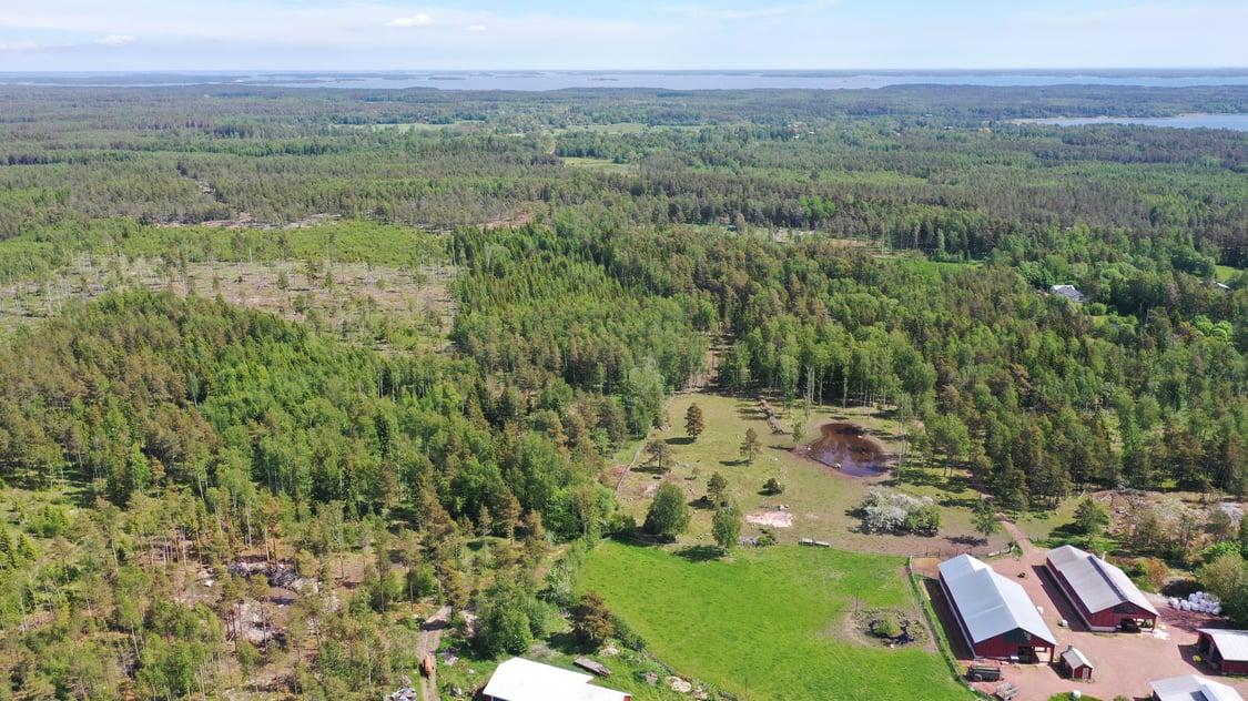 Tre skogsskiften i Vesteränga, Lemland.
