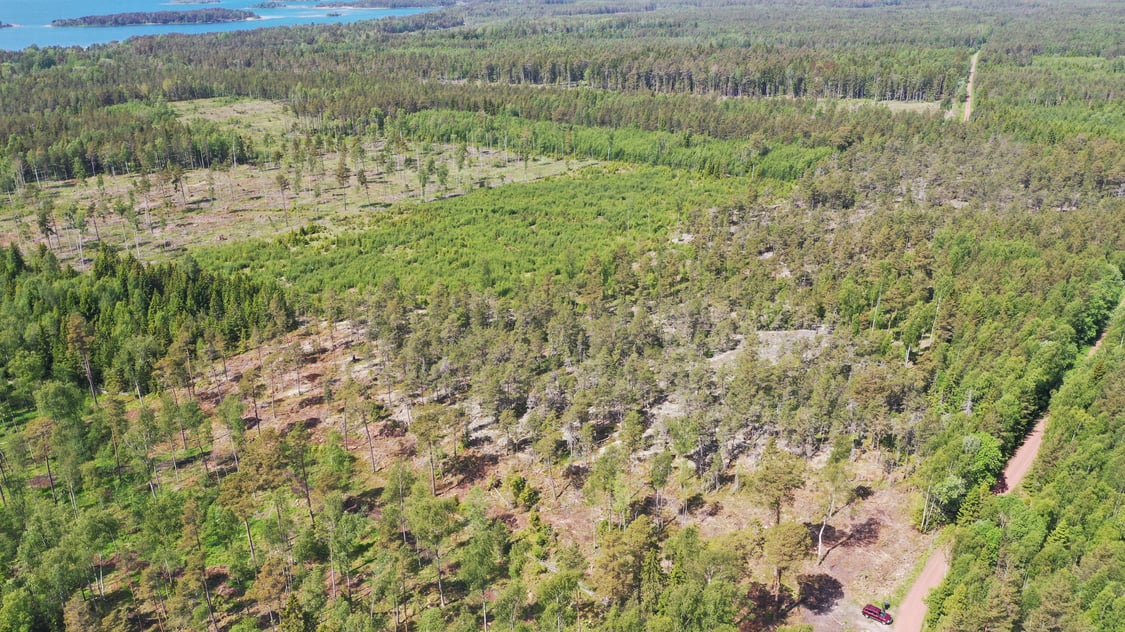 Tre skogsskiften i Vesteränga, Lemland.