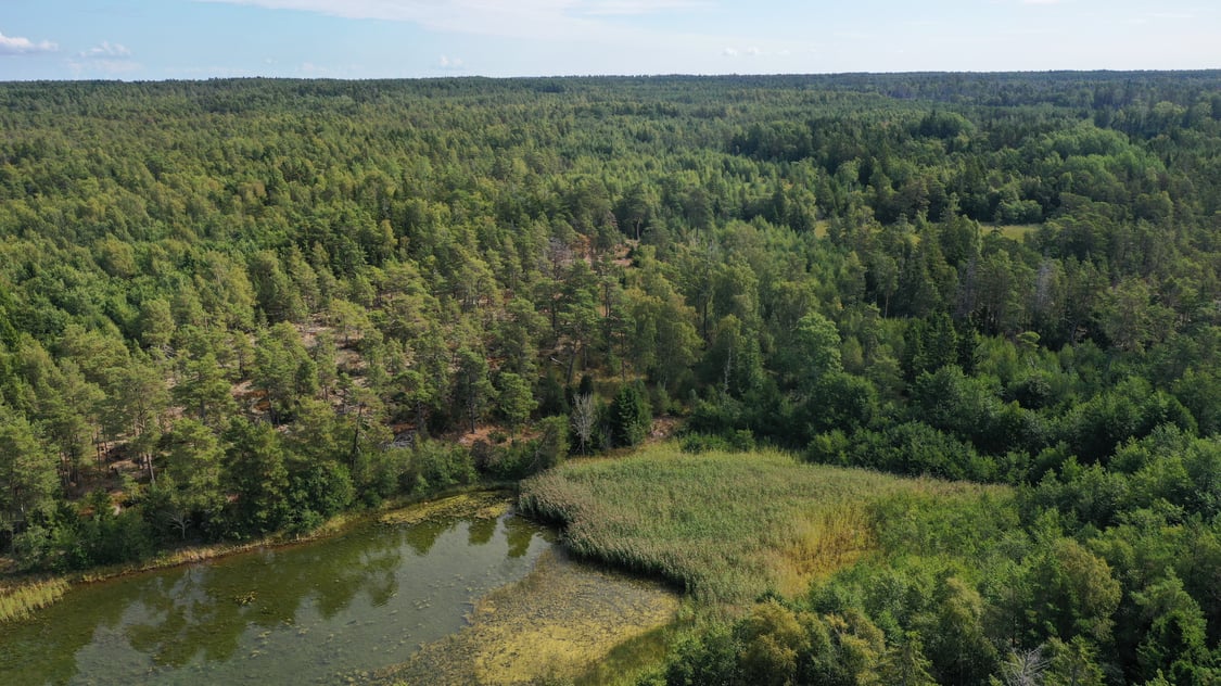 Bergsbunden strandtomt med västerläge i Storby, Eckerö.